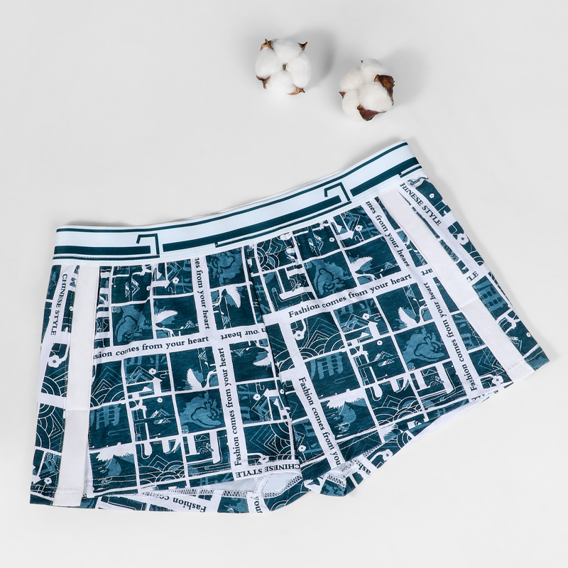 Sous-vêtements pour hommes, ca - Boxer Brief Pack Cotton avis et prix
